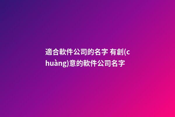 適合軟件公司的名字 有創(chuàng)意的軟件公司名字
